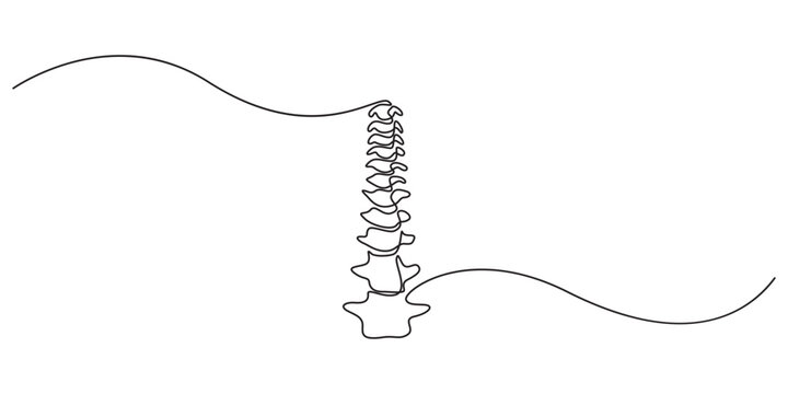 one line spine, Continuous one line drawing bones of human hand.  Wrist bones in single line art vector illustration. Editable stroke, Chiropractor spine. Continuous one line drawing on white back.