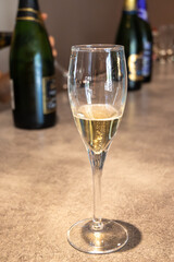 Visit caves in Limoux, sparkling wine tasting, traditional method of production of cremant and blanquette sparkling wine, Occitanie, France, Blanquette de Limoux production