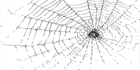 Spider Net Texture Brush Pack