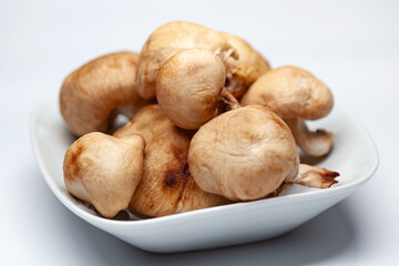 Macrophotography of mushrooms in a white plate