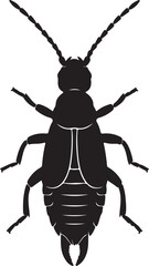 Black silhouette of an earwig insect viewed from above arthropod on transparent background