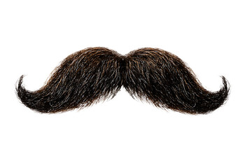 Classic dark brown curly mustache isolated on white background