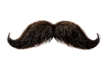 Classic dark brown curly mustache isolated on white background