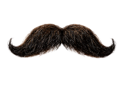 Classic dark brown curly mustache isolated on white background