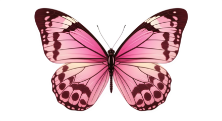 Elegant pink butterfly with detailed wings, a symbol of transformation, hope, and beauty for springtime designs and nature themes
