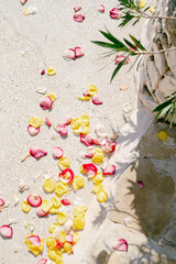 rose petals on the ground after the ceremony 
