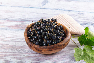 Ripe fresh black currants branches