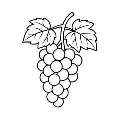 Fototapeta premium Grape Vine Cluster Coloring Page Black Outline