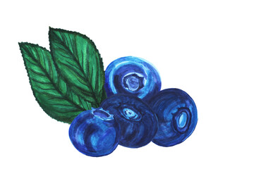 Bright blueberries with leaves. Watercolor composition isolated on a white background. Hand-drawn blue berries for decorating cards and posters.