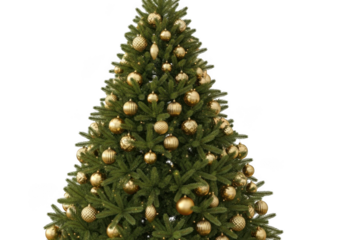 A beautifully decorated christmas tree with golden ornaments, isolated on a transparent background