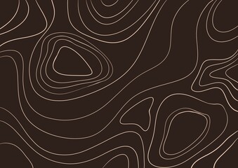 Fototapeta premium abstract topographic lines background beige contours on dark brown minimal design 