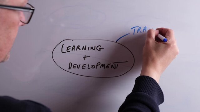 An HR business professional is creating a mind map on a whiteboard with Learning and Development as the main topic, perfect for HR and recruitment presentations.