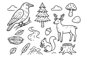 Naklejka premium Raven and Forest Doodles. Raven and forest. Hand-drawn doodle illustration Raven and forest pine tree, branch, mushroom, rock, fallen leaf, nest, acorn, river,