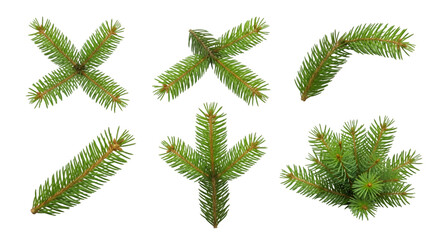 Collection of green fir tree branches isolated on white background, Christmas pine needles set, natural conifer decoration elements