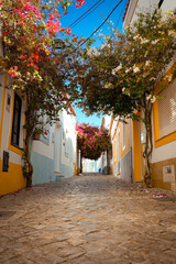 Fototapeta premium Colourful Cobblestone Alley with Blooming Bougainvillea and Traditional Houses – Sunny Mediterranean Street Scene