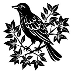 vector illustration of a bird