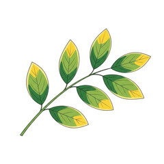 Leaf isolated on transparent background