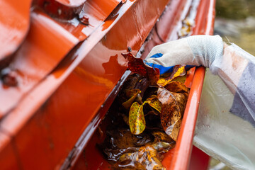 A man pulls a large pile of wet autumn leaves from a clogged gutter during a rainstorm. Gutter...