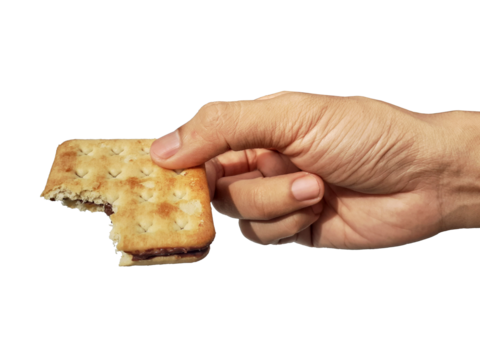 Holding a chocolate filled cracker in hand, isolated on PNG background.
