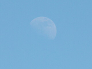 Daydreaming Moon