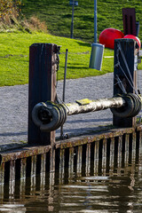 Ein sonniger Herbsttag im Nordseeheilbad Dangast mit Seehund