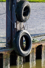 Ein sonniger Herbsttag im Nordseeheilbad Dangast mit Seehund
