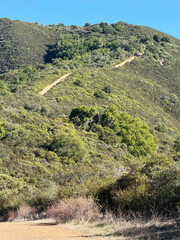 Steep hiking Priest Rock trail winding across sunlit green hillsides of Sierra Azul Open Space, surrounded by chaparral vegetation, shrubs, and oak trees under a clear blue sky