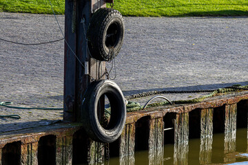 Ein sonniger Herbsttag im Nordseeheilbad Dangast mit Seehund