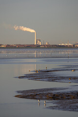 Ein sonniger Herbsttag im Nordseeheilbad Dangast mit Seehund