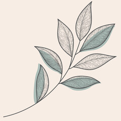 Elegant Hand Drawn Botanical Branch with Shaded Leaves Vector Art