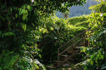 Sidemen Rice Fields Bali
