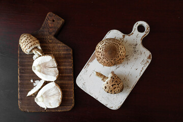 Macrolepiota procera, the parasol mushrooms, placed on white and dark boards. Concept of visual contrast, natural composition, organic food styling. © Natallia