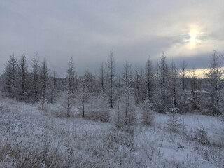 Fabulous winter landscape with snow-covered forest