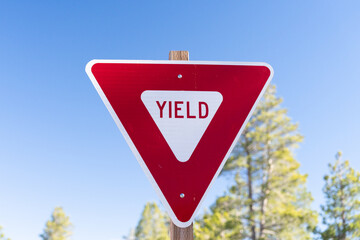 Bold red triangular yield sign with white reflective "YIELD" text is mounted on a metal pole, set against a sunny forest of tall pine trees under a clear blue sky. 
