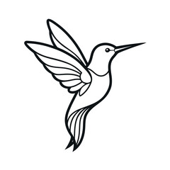 Hummingbird Outline Vector Design