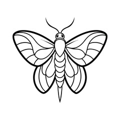 Moth Line Art Vector Illustration