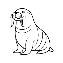 Walrus Line Art Vector Illustration