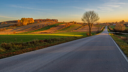 Scenic rural road lined with golden autumn trees and green fields . A peaceful rural road stretches through vibrant autumn landscapes. Roztocze. Lublin Voivodeship. Poland.