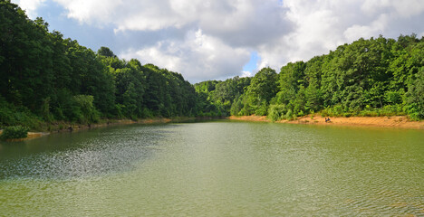 Ataturk Arboretum, located in Istanbul, Turkey, is a natural museum with many lice and trees.