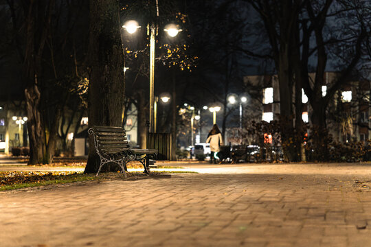 Empty Park Bench under Street Lights at Night — Autumn Evening in Peaceful City Park