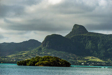Mountain Lion overlooking a tranquil blue lagoon with a small mangrove-covered island in the...