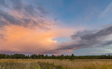 Field with a cloudy sky and a pinkish orange sunset