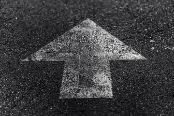 White Arrow on Wet Asphalt — Direction and Progress Concept in Black and White