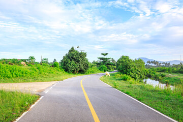 Road with a yellow line down the middle and a few trees in the background