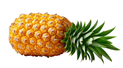 Tropical Treasure: A golden pineapple, a tropical delight, lies horizontally, showcasing its spiky crown and textured skin. It's a symbol of summer.