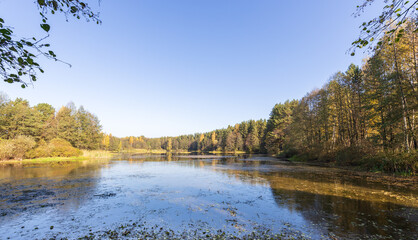 Calm lake with trees in the background