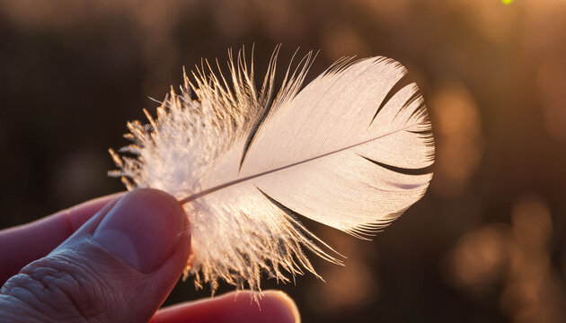 close up of a feather in a hand - Powered by Adobe