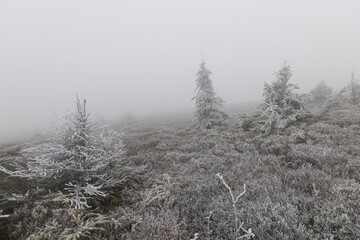 Rime Ice Covered Rock on Pikuy Mountain Summit in Dense Fog