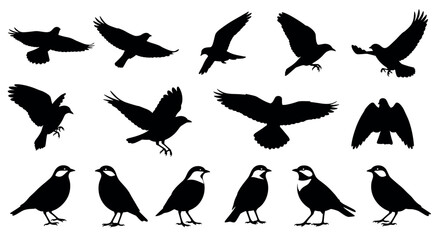 Silhouette collection of birds in various flying and perched positions, showcasing diverse wing and body shapes.