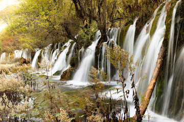 The Arrow Bamboo Waterfall of Jiuzhaigou National park, Sichuan, China. the fall is a stunning cascade in Jiuzhaigou, a UNESCO World Heritage site famous for its colorful lakes and waterfalls.